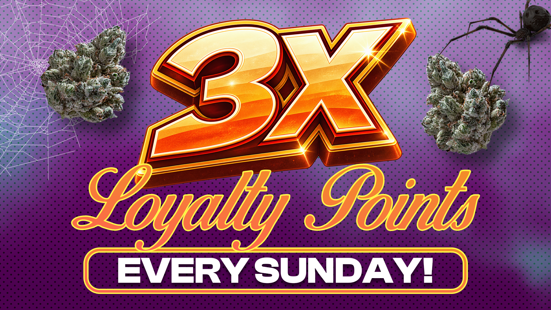 3x loyalty points copy